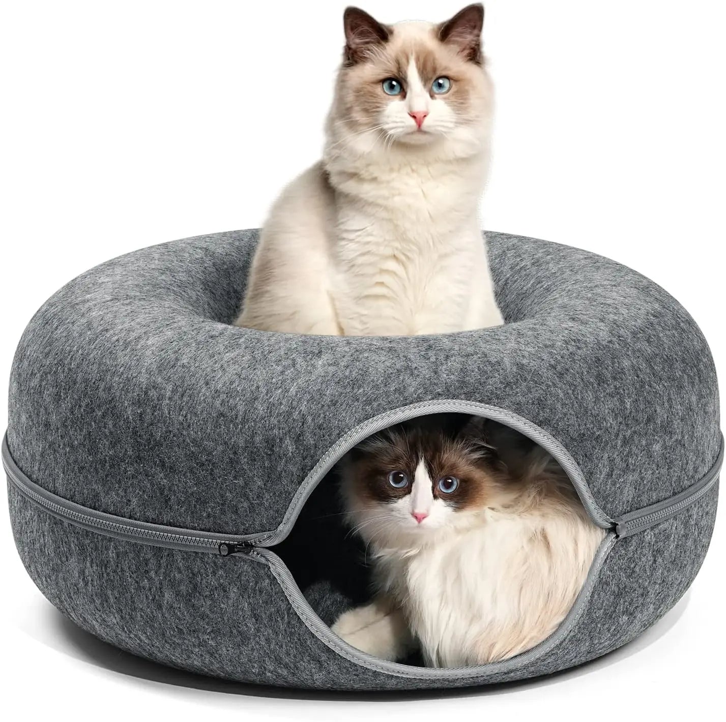 Peekaboo Cat Cave Bed - Felt & Washable Indoor Donut Tunnel for Cats Pet